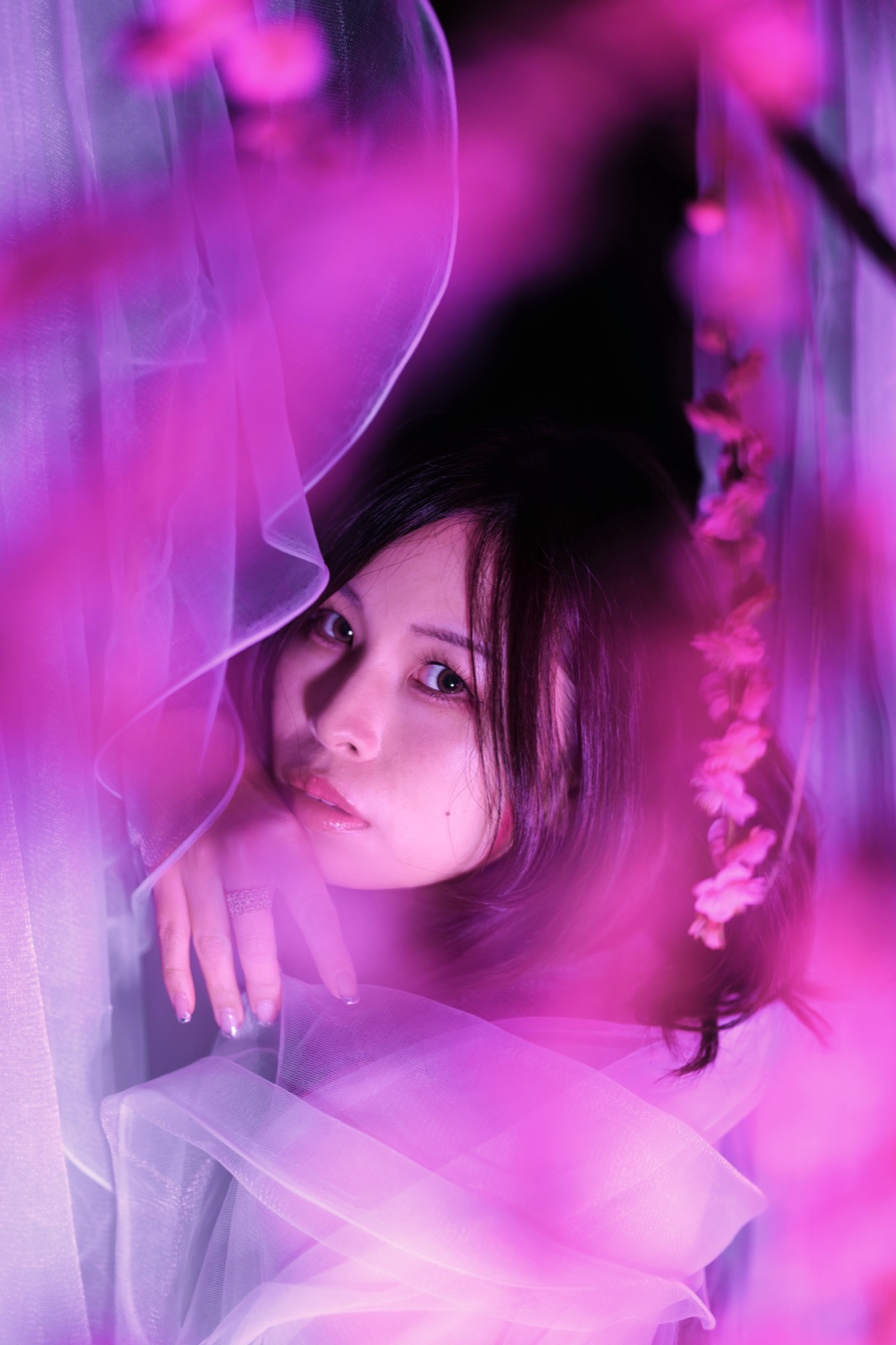 紫色の照明とチュールカーテンの中で振り返るKOYUKI